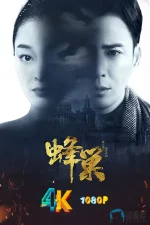 蜂巢a.webp