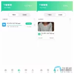 薄荷2.webp