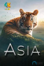 亚洲1aa.webp 亚洲1aa.webp